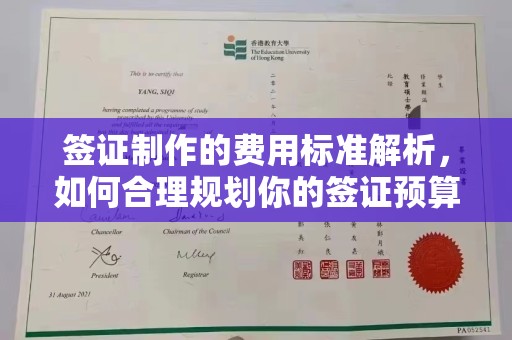 广陵签证制作的费用标准解析，如何合理规划你的签证预算