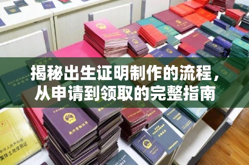 广陵揭秘出生证明制作的流程，从申请到领取的完整指南