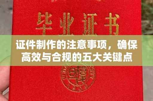 广陵证件制作的注意事项，确保高效与合规的五大关键点